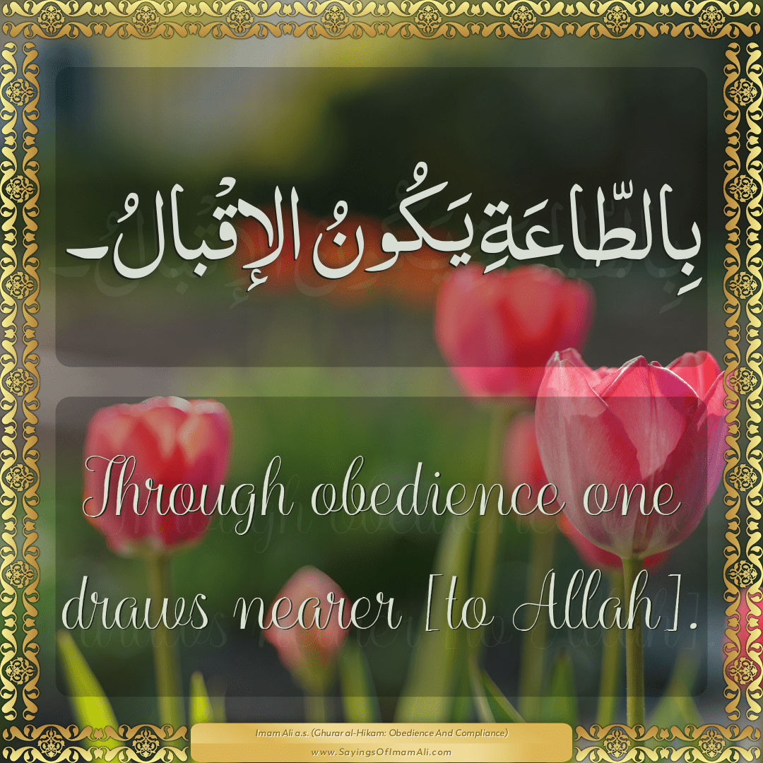 Through obedience one draws nearer [to Allah].